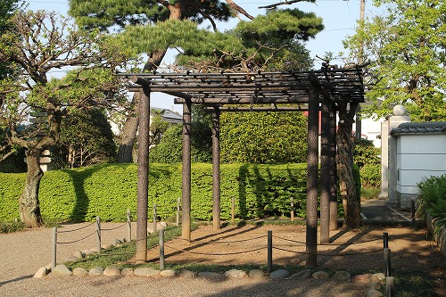 藤棚の手入れ 真言宗智山派 円泉寺 埼玉県飯能市