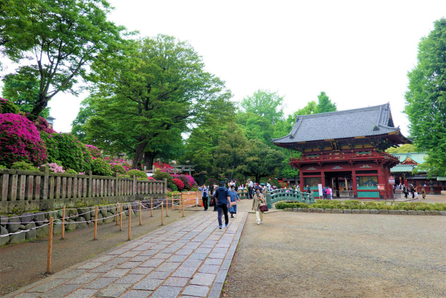 根津神社 満開のツツジ 文京区 真言宗智山派 円泉寺 埼玉県飯能市